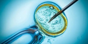36岁做试管如何提高胚胎着床率？
