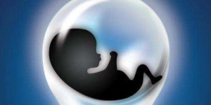 2022年沈阳供卵试管医院排名更新，有哪些医院上榜了？