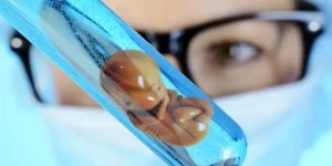 胚胎移植后腹水严重要重视！对胎儿发育的影响不可小觑