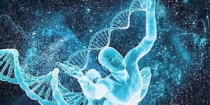 高龄供卵自怀的会对做无创DNA结果有影响吗？