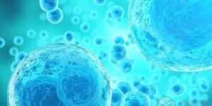 2022武汉大学人民医院试管移植双胚胎成功率高吗？