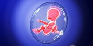 揭阳做试管婴儿怎么样？2022助孕成功率数据公布