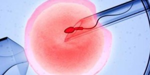在武汉做试管婴儿胚胎移植的操作过程是怎样的?