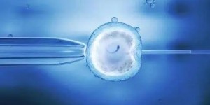 2022中南大学湘雅医院三代供卵试管费用一览
