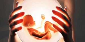 试管婴儿胚胎停育，密切关注几个方面?
