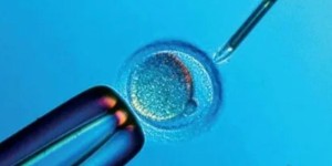 国内试管冻胚一年保存费用明细，按个数、按年收费标准不同