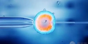 无锡妇幼医院试管胚胎移植一次就成功的概率高吗？
