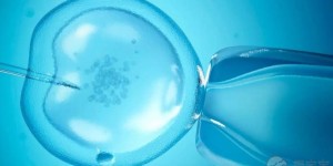 2023湖北供卵试管婴儿医院排名，附试管助孕成功率参考？