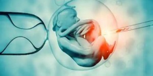 移植冻胚12天hcg参考值：超过这个值就可确诊怀孕