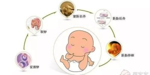 南京试管婴儿费用大约多少？包含了哪些流程？