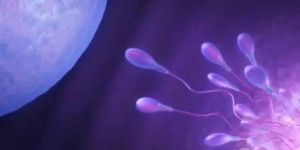 2023中山二院试管婴儿收费明细，附三代供卵助孕费用分享