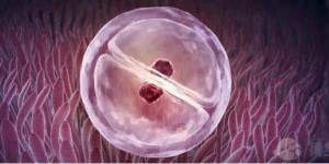 胚胎移植需要多厚的子宫内膜，有哪些内膜影响怀孕?