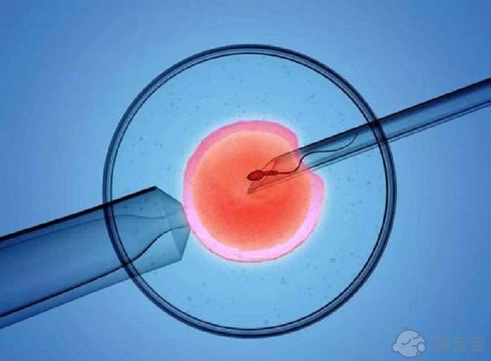 南京助孕指南：在南京鼓楼医院试管取卵疼吗？