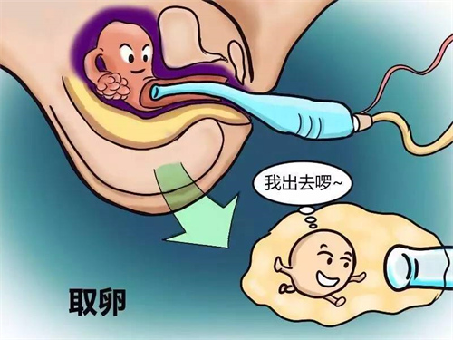 四川成都市一院做试管婴儿需要多少钱