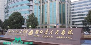 湖北省人民医院试管婴儿成功率