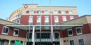 深圳中山泌尿外科医院试管婴儿成功率一览
