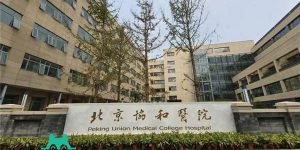 2022北京协和医院做供卵试管婴儿要排队吗