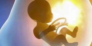 杭州试管婴儿代怀生子医院排名，附试管助孕机构一览？