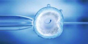 山东供卵试管婴儿医院排名前十，附试管助孕机构排名？