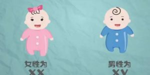 深圳做第三代试管婴儿可以生儿子吗？