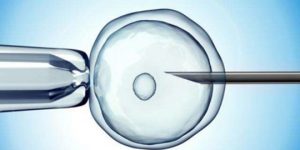 试管二代比一代配成胚胎概率高(二代试管男女比例一样吗)