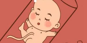 上海供(借)卵试管婴儿医院排名更新，附2022供卵生男孩收费标准