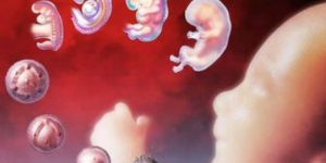 2022国内做供(借)卵试管婴儿私立医院排名十，附供卵试管生男孩条件说明