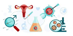 沈阳双子子宫患者做试管最好的八家医院名单，附2022试管助孕条件解说