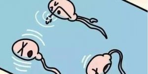 可以在国内的私立医院用亲戚的精子做供精试管婴儿吗？