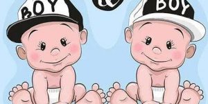 试管婴儿包生两个男孩需要多少钱？试管双胞胎生男孩费用？