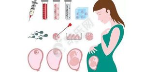 试管婴儿多囊打促排针怀孕几率高吗？(图1)