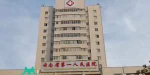 云南省第一人民医院.webp.jpg
