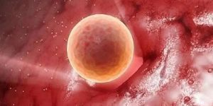 子宫腺肌症会影响试管胚胎着床吗？有腺肌症能不能做试管？