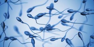 国内单身女性可以买精子做试管吗？