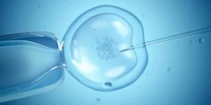 试管婴儿必须做两个吗？做试管都移植两个胚胎吗？