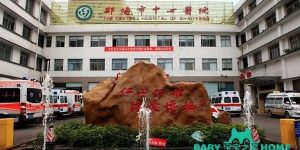 邵阳市中心医院试管婴儿成功率一览