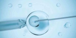 2022年哪个国家可以做供卵试管？国外哪里能做供卵试管婴儿？