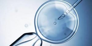 武汉大学中南医院可以做供卵试管婴儿吗，附供卵试管生男孩费用明细！