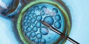 人工胚胎可以选择性别吗？附人工生男孩方法？