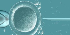 2023郑州私立生殖中心排行榜，附借卵生子试管费用一览！