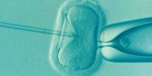 长沙中信湘雅供卵费用多少 供卵试管可以选胎儿性别吗