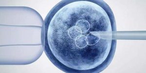 上海供卵试管机构排行榜，2023三代供卵试管生男孩医院一览！