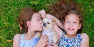 conpic_content_article_28848