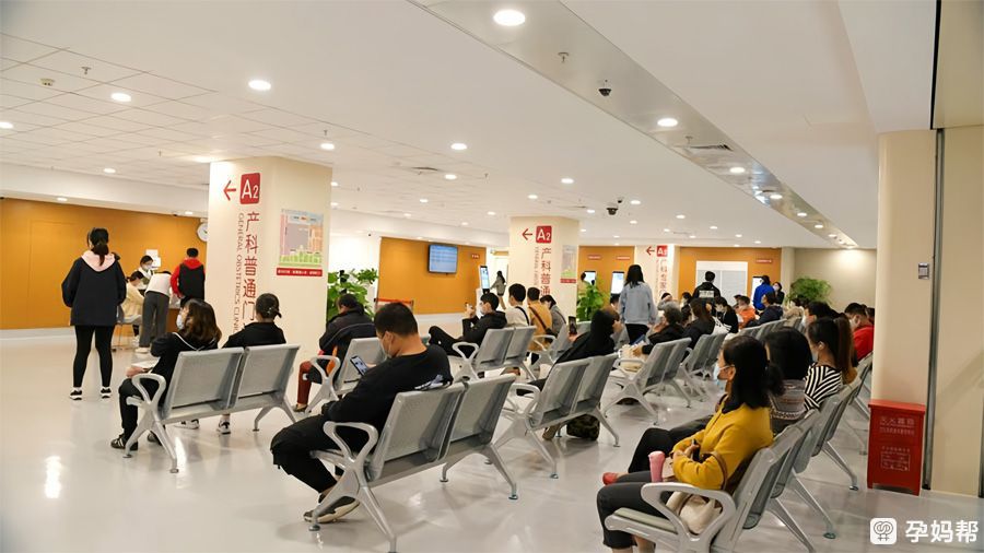 国内 10 大助孕机构在技术方面有哪些突出优势?