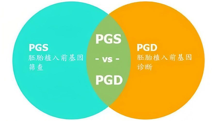 有遗传病史的家庭