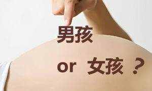 来选择宝宝的性别呢?