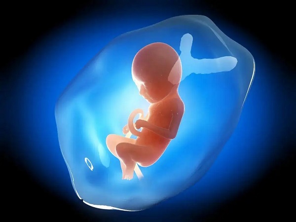 合肥供卵试管婴儿包生男孩医院排名