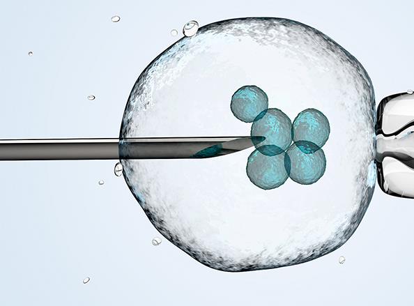 成都中医药大学第二附属医院可以做供卵试管婴儿吗