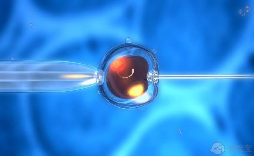 试管2pn与2pb分别什么意思？移植胚胎分别指什么？