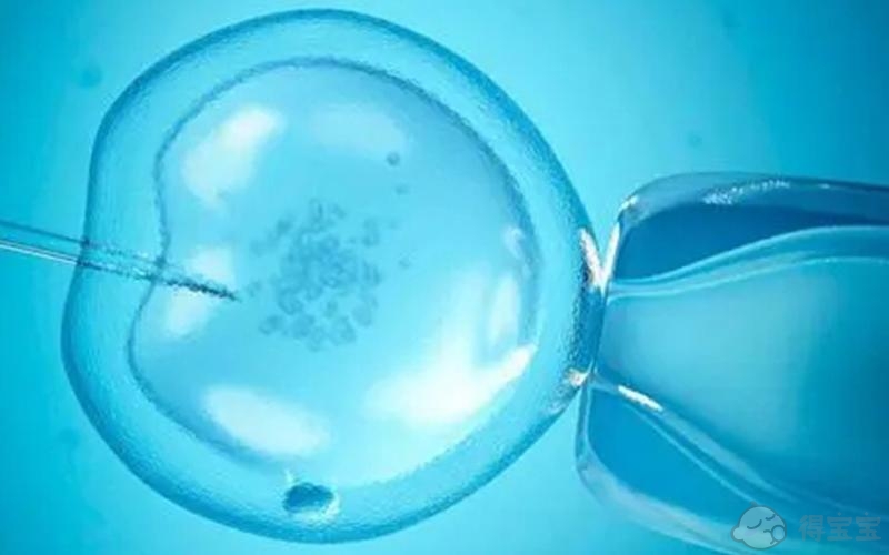 试管移植指南：3天鲜胚着床过程是怎样的？